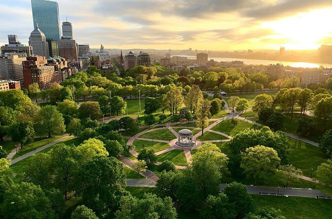 Boston & Cambridge Icons: Private 7-Hour Discovery Tour - Transitioning to Cambridge and the Universities