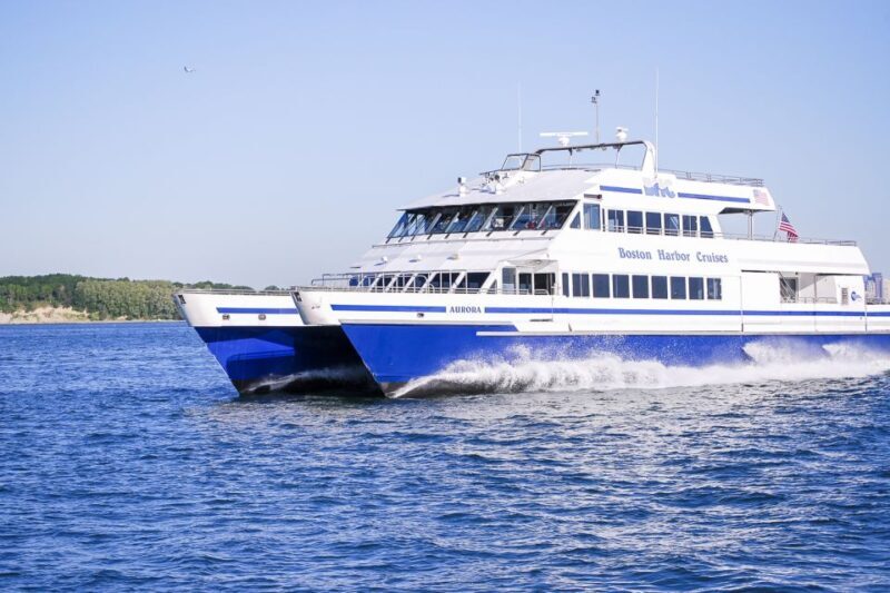 Boston: City Cruises Whale Watching Cruise - Key Points