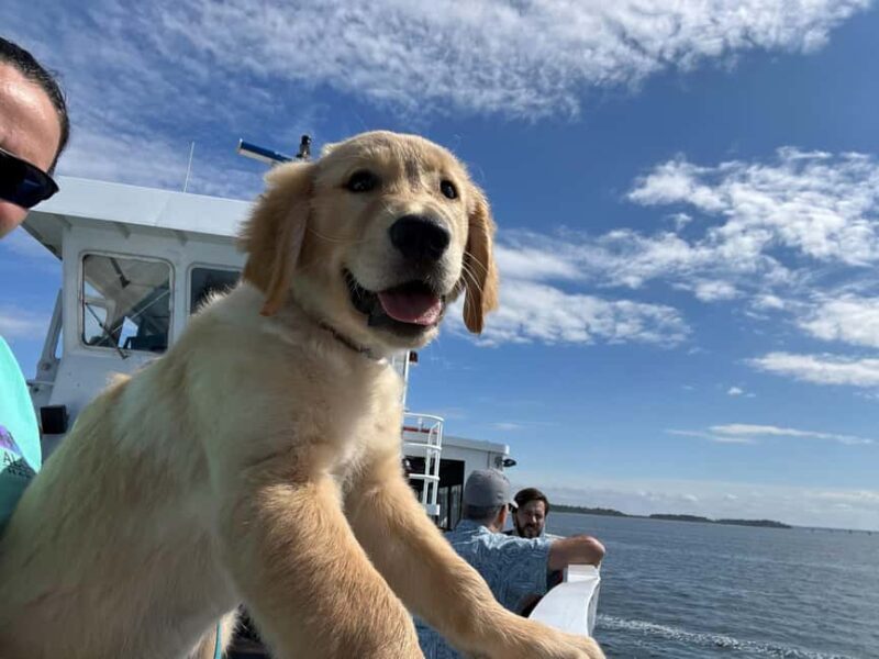 Boston: Dog-Friendly Halloween Costume & Sightseeing Cruise - FAQ