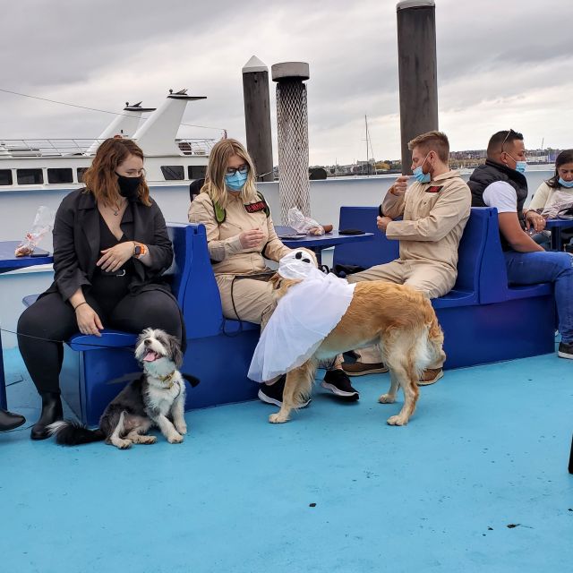 Boston: Dog-Friendly Halloween Costume & Sightseeing Cruise - Dog Costume Parade and Contest