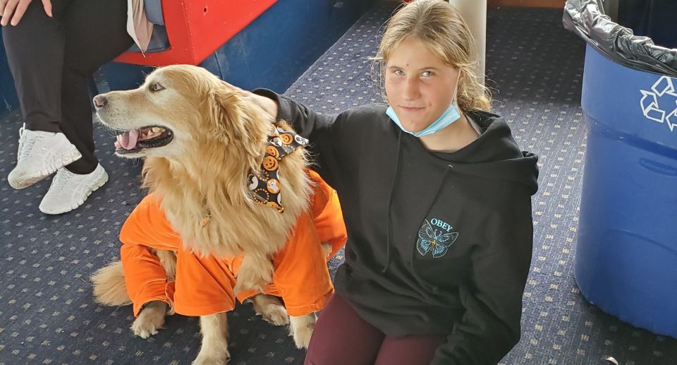 Boston: Dog-Friendly Halloween Costume & Sightseeing Cruise - Frequently Asked Questions
