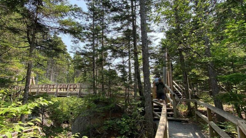 Boston Fall Day Trip to White Mountains, Lost River Gorge - Exploring the White Mountains from Boston: A Detailed Look at the Day Trip