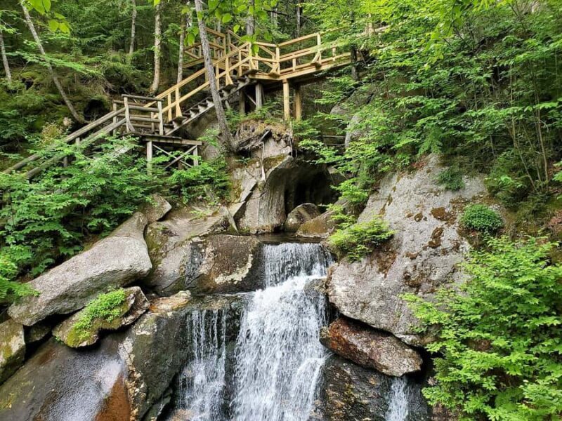 Boston Fall Day Trip to White Mountains, Lost River Gorge - Final Thoughts: Is This Tour Right for You?