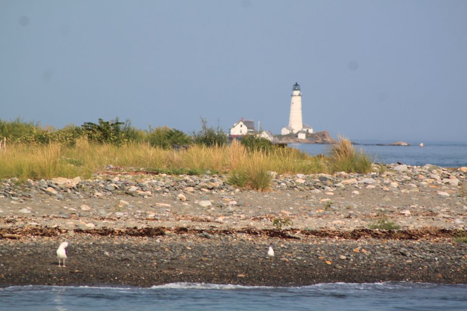 Boston Harbor: Fall Foliage Luncheon Cruise - Photo Opportunity at Long Island Head Light