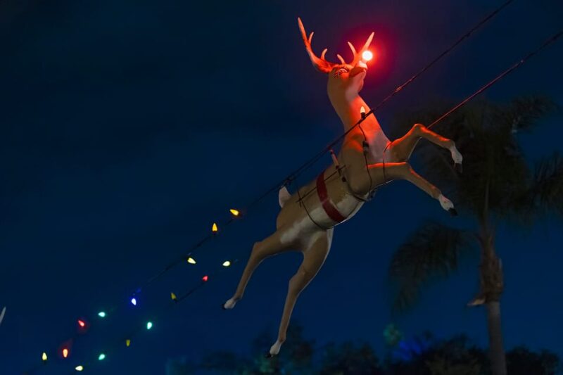 Boston: Holiday Sights and Festive Nights Trolley Tour - Key Points