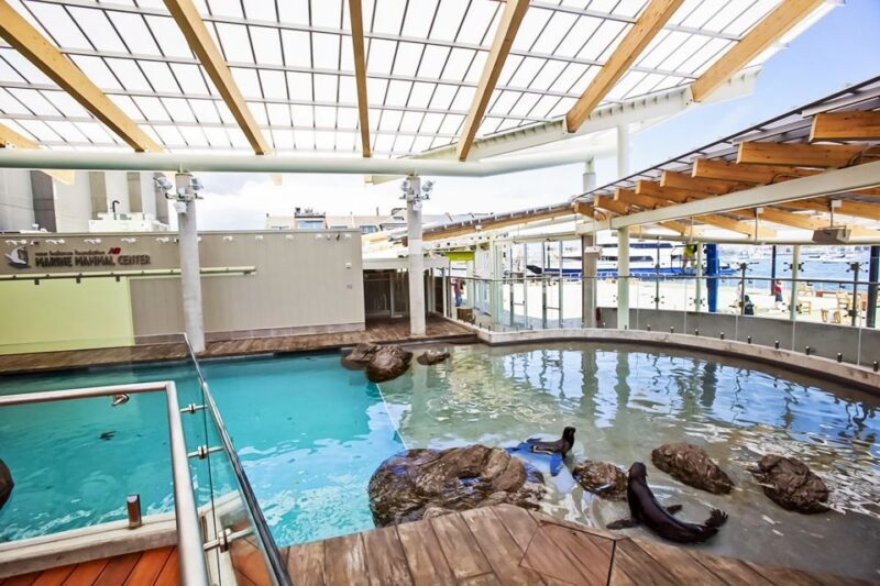 Boston: New England Aquarium Entry + Optional Simons Theatre - An Overview of What You Can Expect