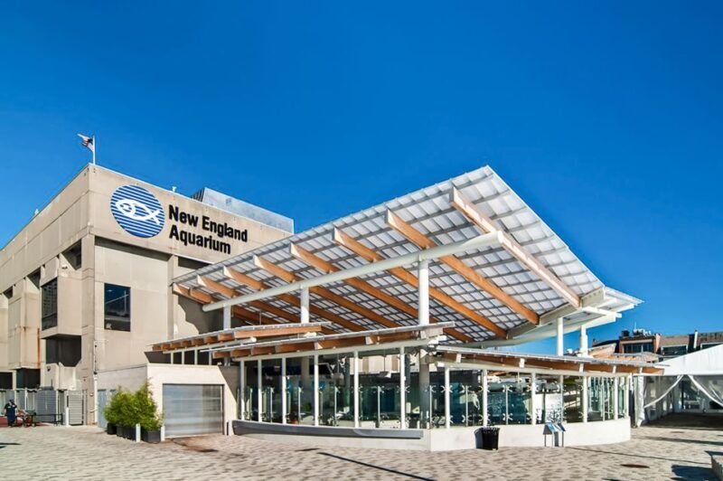 Boston: New England Aquarium Entry + Optional Simons Theatre - Value for Money