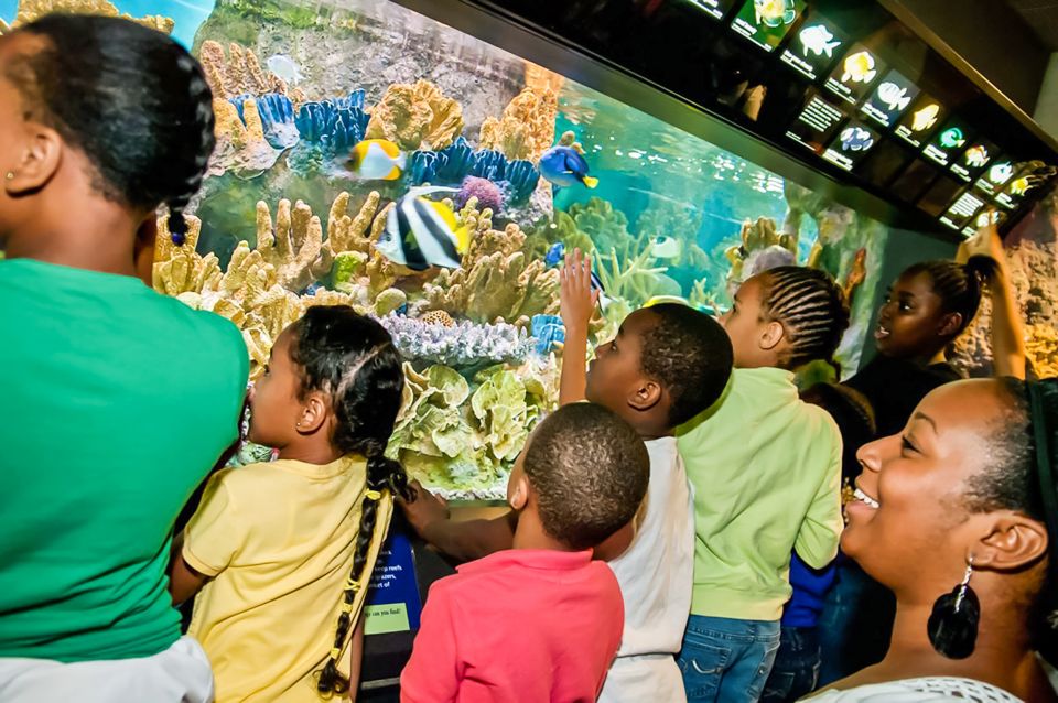 Boston: New England Aquarium Skip-the-Line Entry Ticket - Giant Ocean Tank Experience
