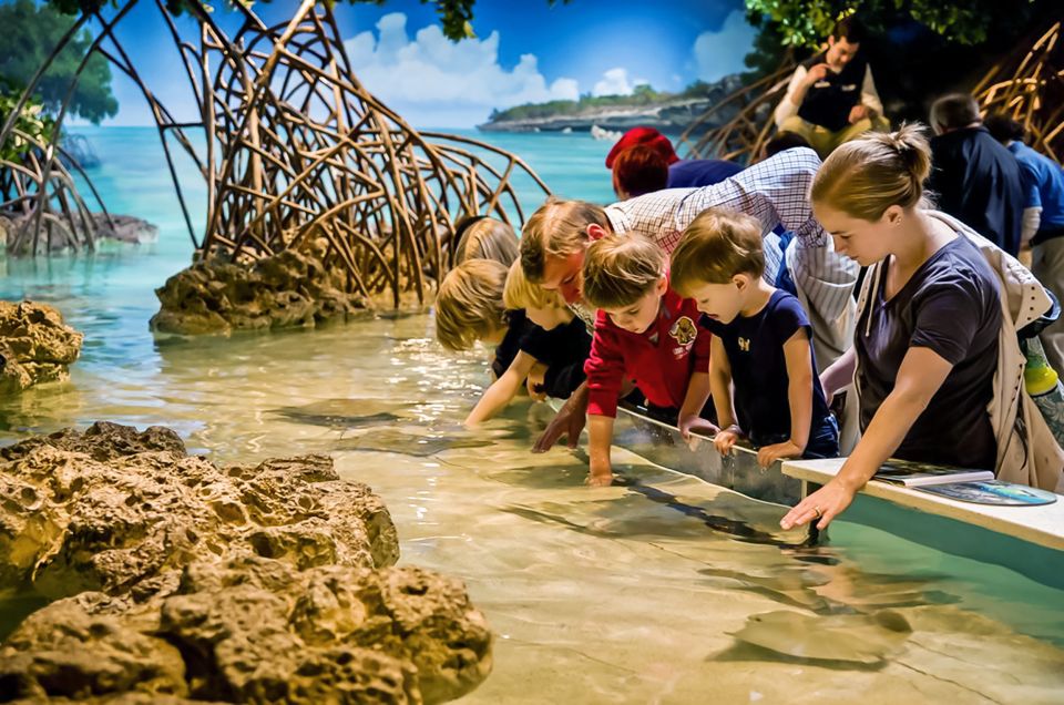 Boston: New England Aquarium Skip-the-Line Entry Ticket - Local Gulf of Maine Exhibit