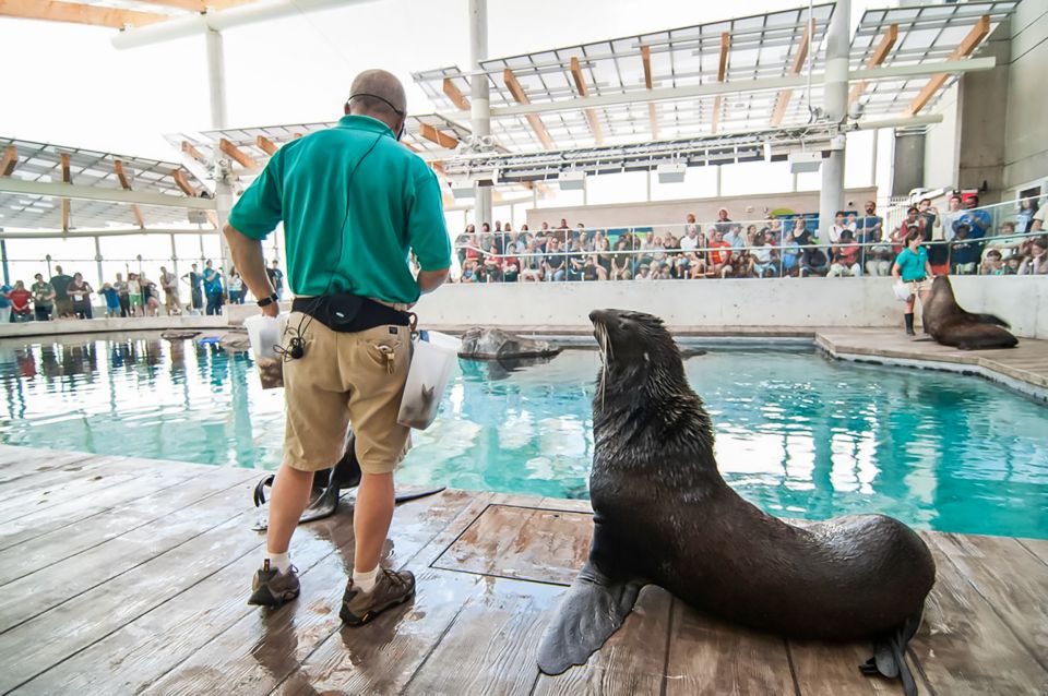 Boston: New England Aquarium Skip-the-Line Entry Ticket - Practical Visitor Information