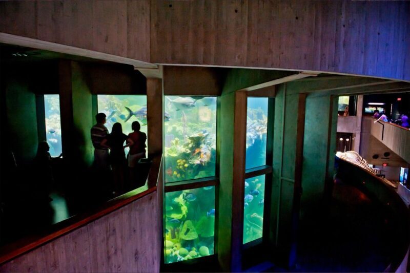 Boston Pass: Save up to 50% - Includes Franklin Park Zoo - Key Points