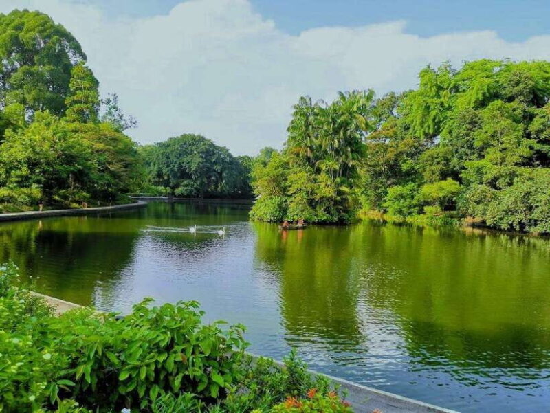 Botanic Gardens & Tiong Bahru Walking Tour with Breakfast - Key Points