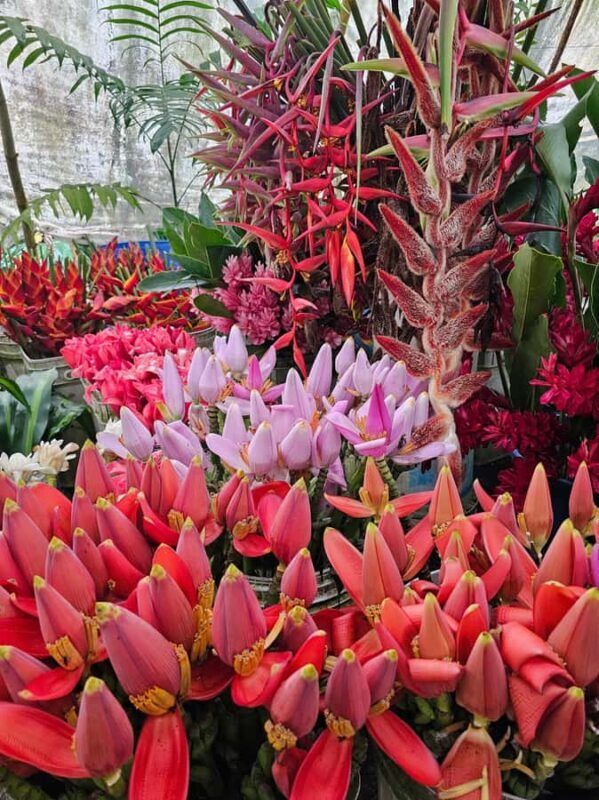 Botanical experience in Argovia: Flowers, Trail, and Tasting - Practical Details and Logistics