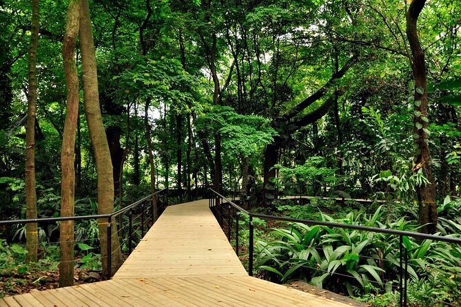 Botanical Garden and Arvi Park Medellín City Tour - Inclusions and Cancellation