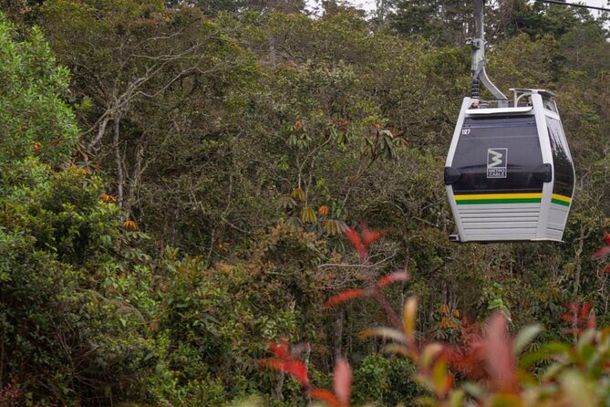 Botanical Garden and Arvi Park Medellín City Tour - Pickup Points and Start Location