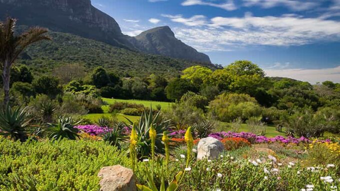Botanical Garden and Groot Constantia Wineries Private Tour - Booking Information