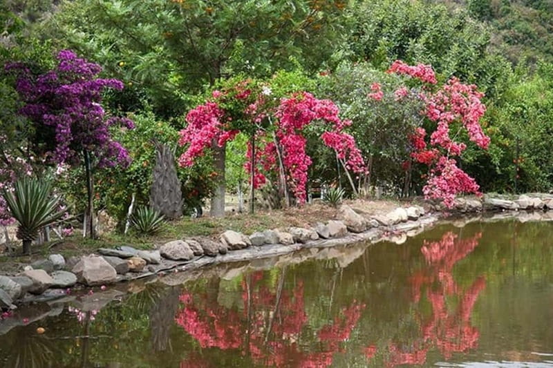 Botanical Garden & Aromas of the Wild Nature Adventures - The Details of the Adventure