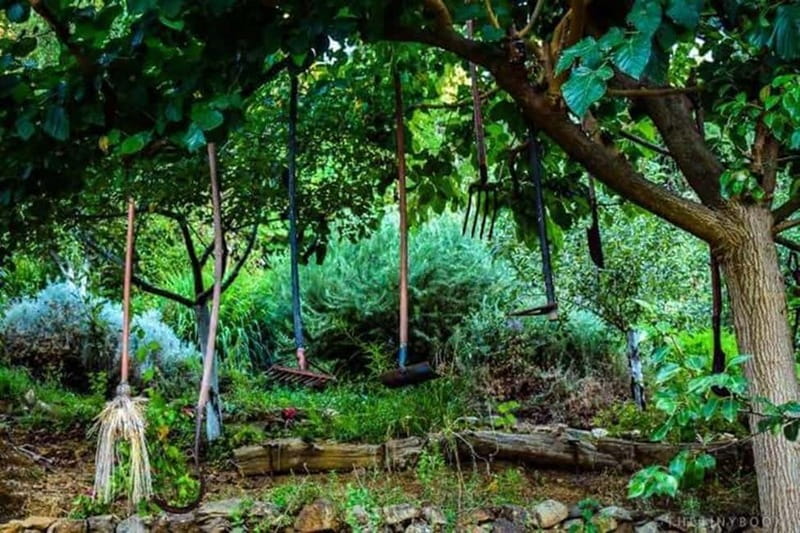 Botanical Garden & Aromas of the Wild Nature Adventures - Authenticity and Value