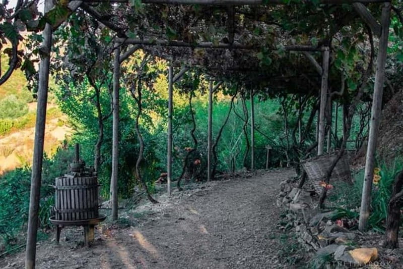 Botanical Garden & Aromas of the Wild Nature Adventures - Who Is This Tour Best For?