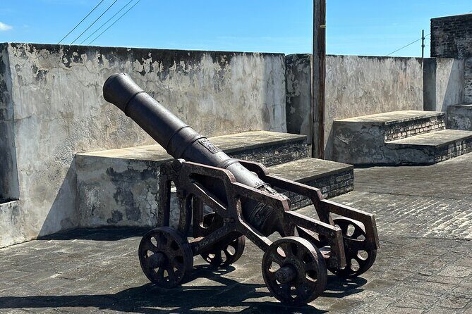 Botanical Gardens and City Tour - Final Thoughts: Is It Worth It?