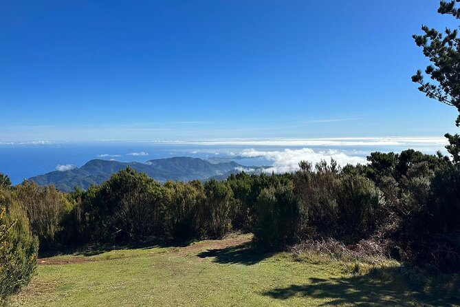 Botanical Trails of Madeira. Mountain Biking Trail Experience - Customer Reviews and Testimonials