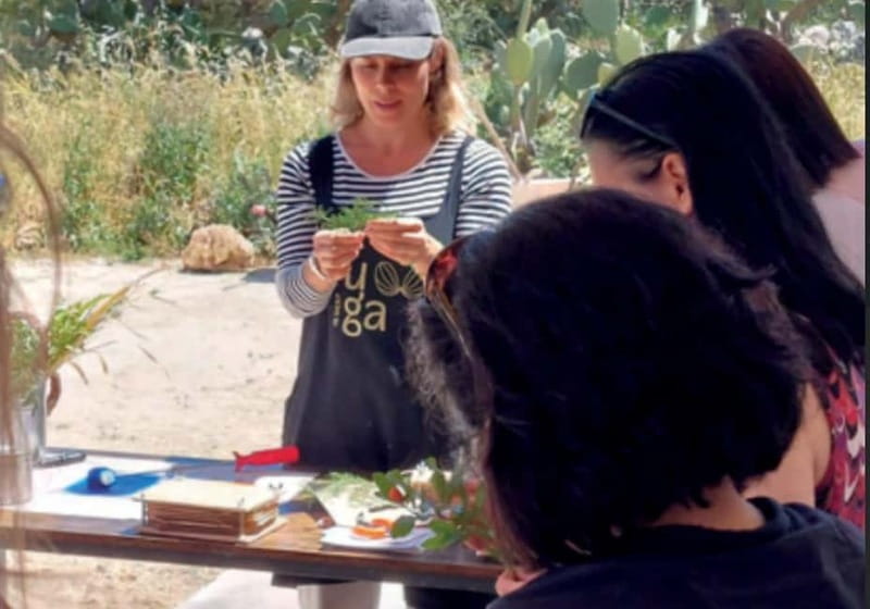 Botanical workshop & Nepeta's bitters tasting in Val di Noto - Key Points