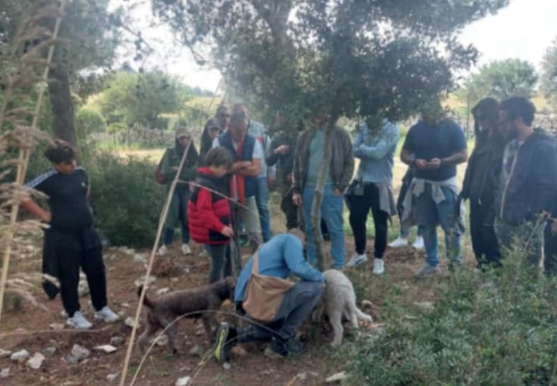Botanical workshop & Nepeta's bitters tasting in Val di Noto - Final Thoughts