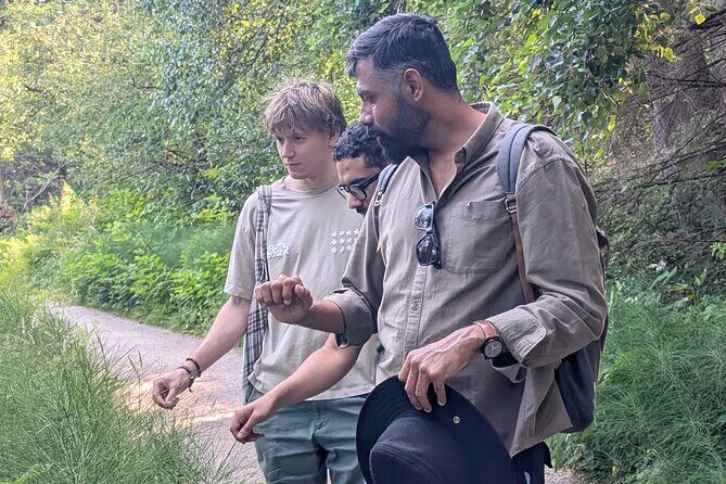 Botany of Witchcraft - Deep Dive into the Tour Experience