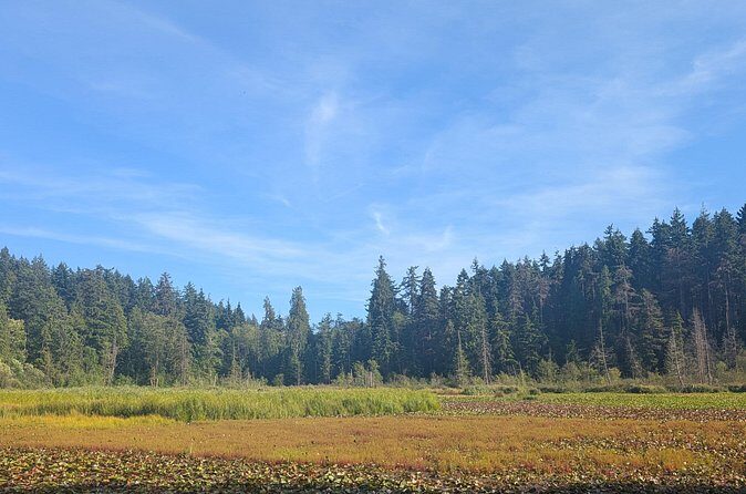 Botany of Witchcraft - Final Thoughts