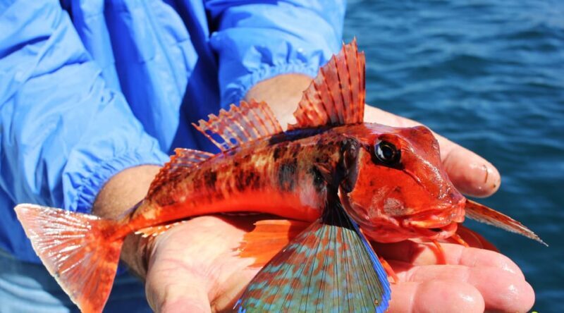 Bottom Fishing Lagos - Frequently Asked Questions