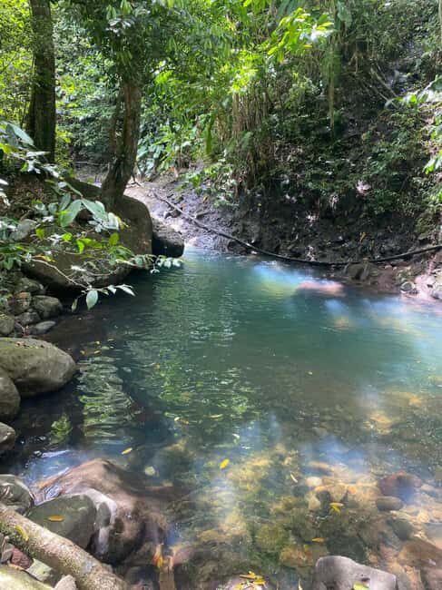 Bouillante Tour: Discover the city of hot water - Key Points