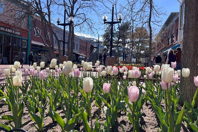 Boulder Art and Nature E-Bike Tour - FAQ  