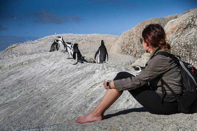 Boulders Beach Cape Town: Swimming With Penguin & Close Encounter Half Day Tour - Frequently Asked Questions