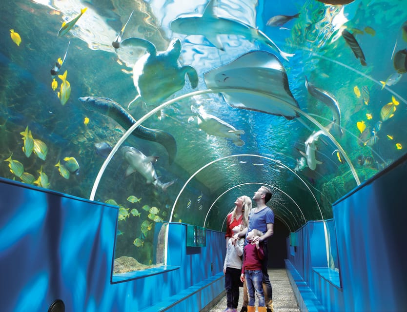 Bournemouth Oceanarium Ticket - Who Is This Tour Best For?