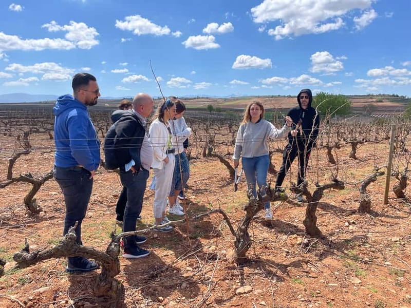 Boutique Rioja Wine Tour with Charming Lunch (From Bilbao) - Practical Details