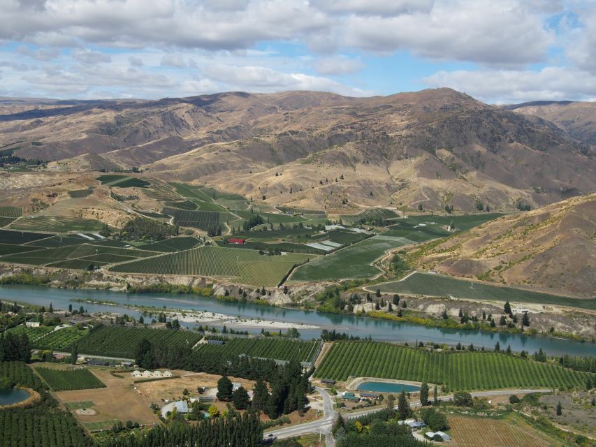 Boutique Winery Half-Day Tour & Vineyard Platter-Style Lunch - Customer Reviews