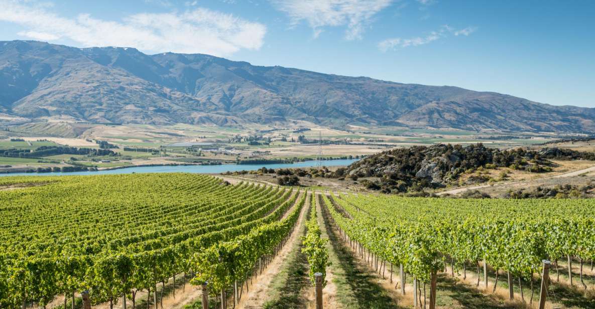 Boutique Winery Half-Day Tour & Vineyard Platter-Style Lunch - Frequently Asked Questions
