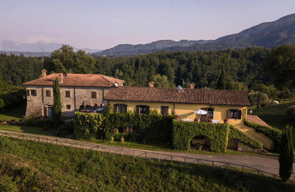 Boutique Winery Tour & Tasting in North Tuscany - Key Points