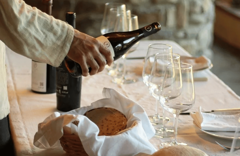 Boutique Winery Tour & Tasting in North Tuscany - Tour Overview and Pricing