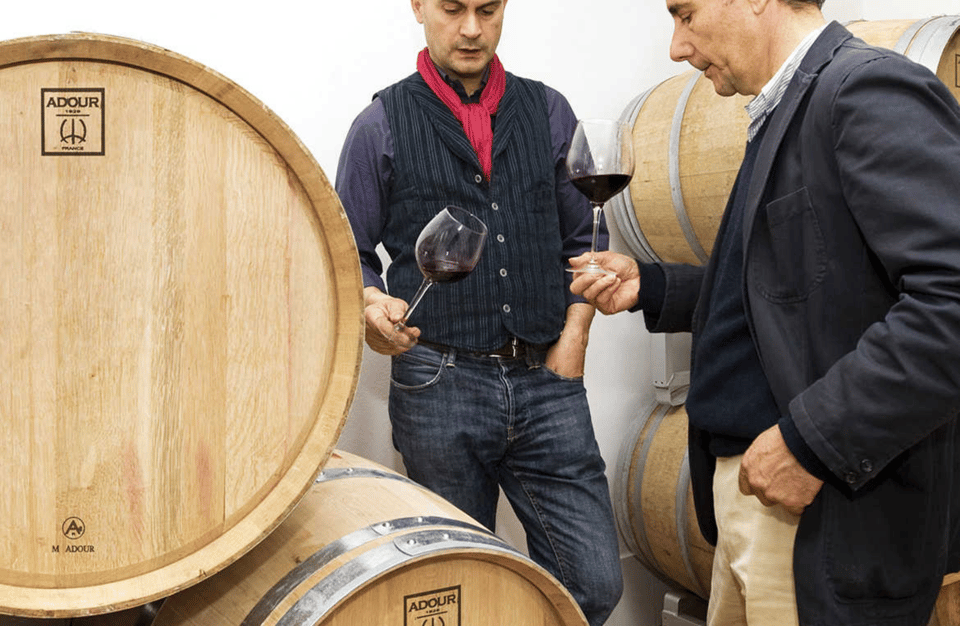 Boutique Winery Tour & Tasting in North Tuscany - Wine Selection and Pairings