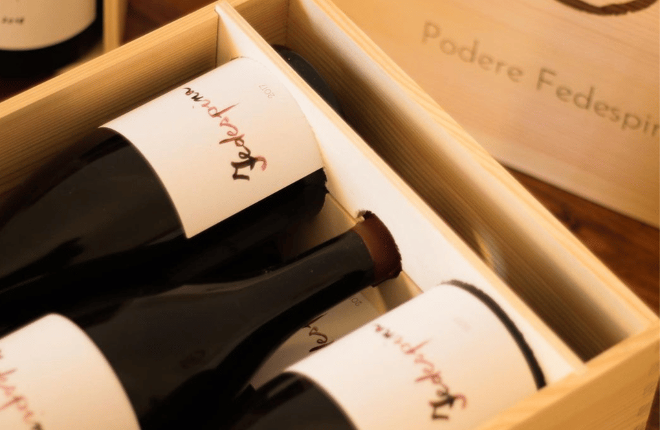 Boutique Winery Tour & Tasting in North Tuscany - Ask Away