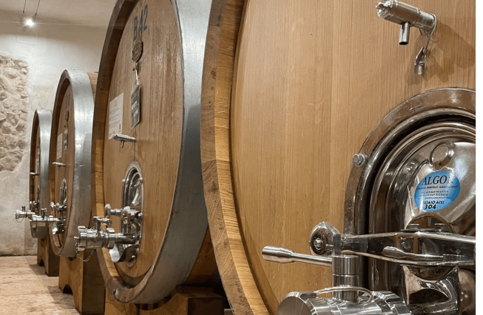 Boutique Winery Tour & Tasting in Valpolicella - Exploring Valpolicellas Iconic Wines