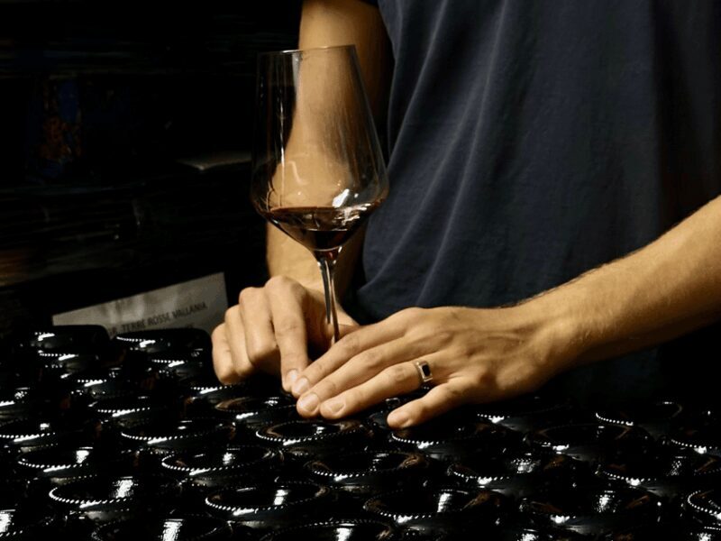 Boutique Winery Tour with Wine Tasting & Food in Bologna - Authentic Emilia-Romagna Wine Experience: A Detailed Review