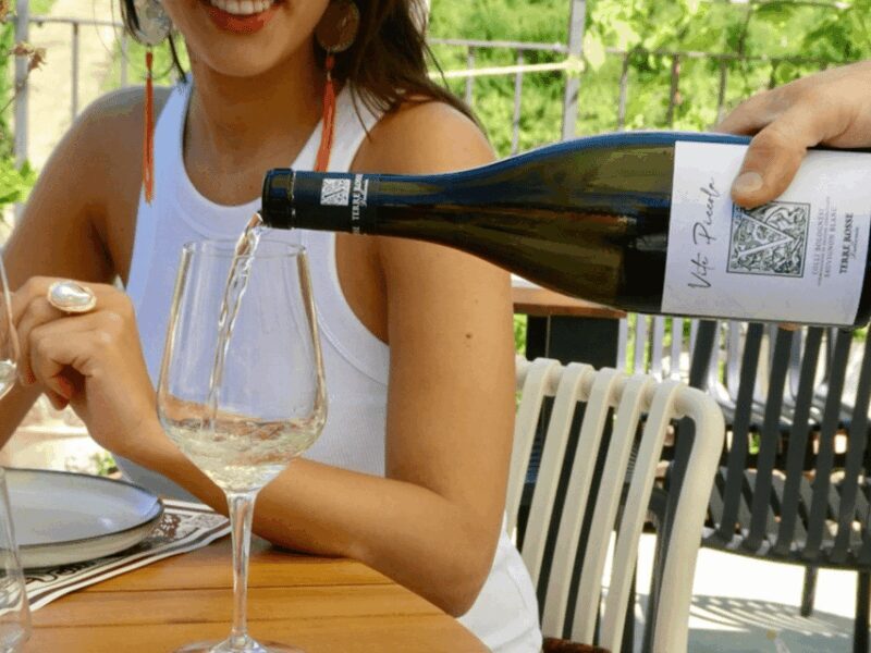 Boutique Winery Tour with Wine Tasting & Food in Bologna - Authentic, Well-Reviewed, and Highly Rated