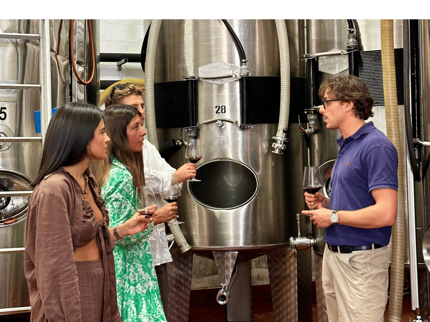 Boutique Winery Tour With Wine Tasting & Food in Bologna - Winery Background