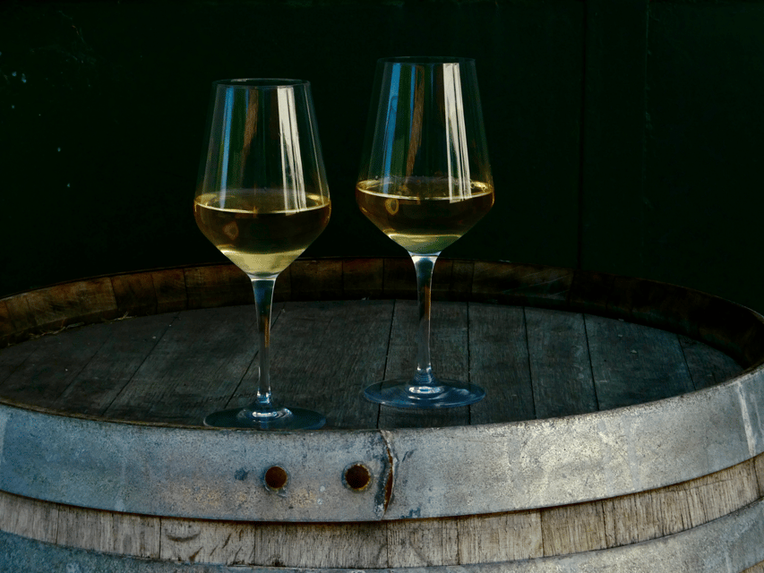 Boutique Winery Tour With Wine Tasting & Food in Bologna - The Merlot DOC