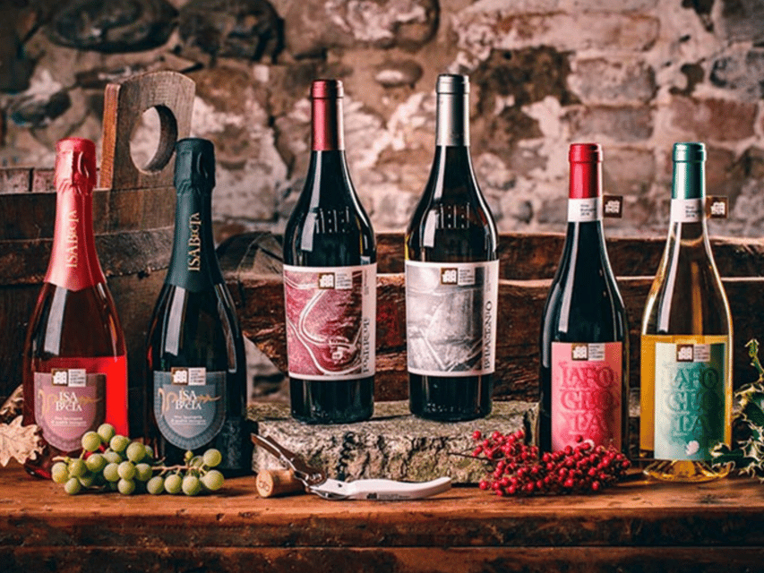 Boutique Winery Visit & 5 Organic Wine Tastings Near Urbino - Experience Overview