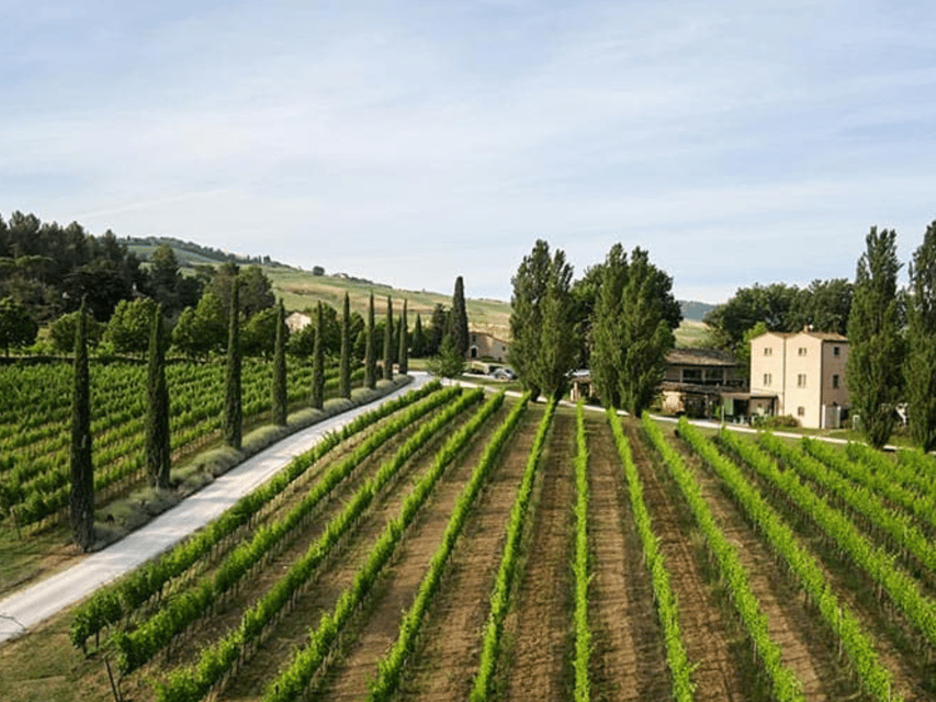 Boutique Winery Visit & 5 Organic Wine Tastings Near Urbino - Wine and Olive Oil Tasting