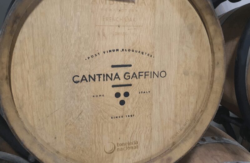 Boutique Winery Visit & Tasting Near Rome - Educational Aspects
