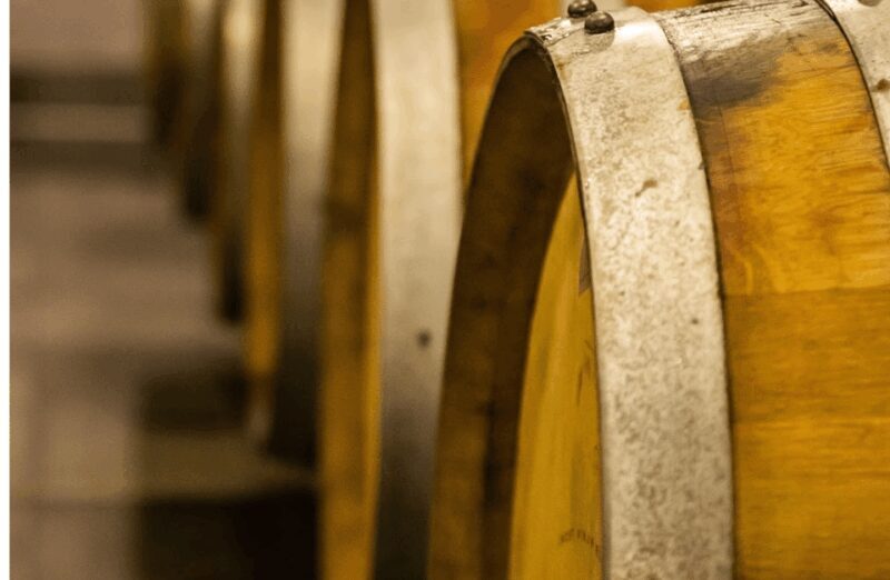 Boutique Winery Visit & Tasting Near Rome - Tasting Highlights